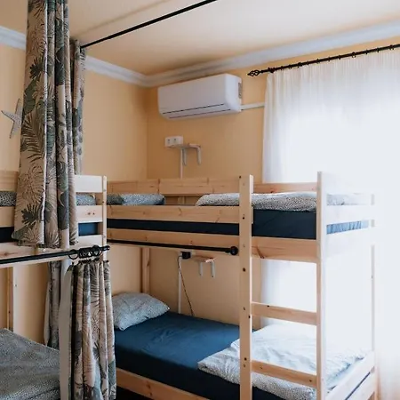 Endless Summer Vibes *