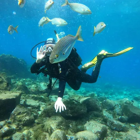 Endless Summer Vibes Hostal