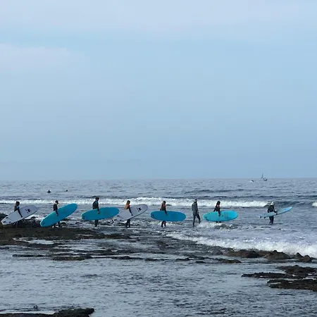 Hostal Endless Summer Vibes