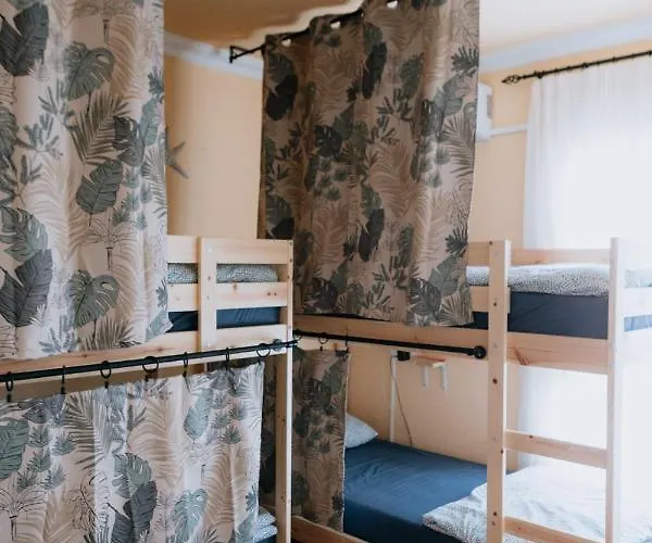 Hostal Endless Summer Vibes *