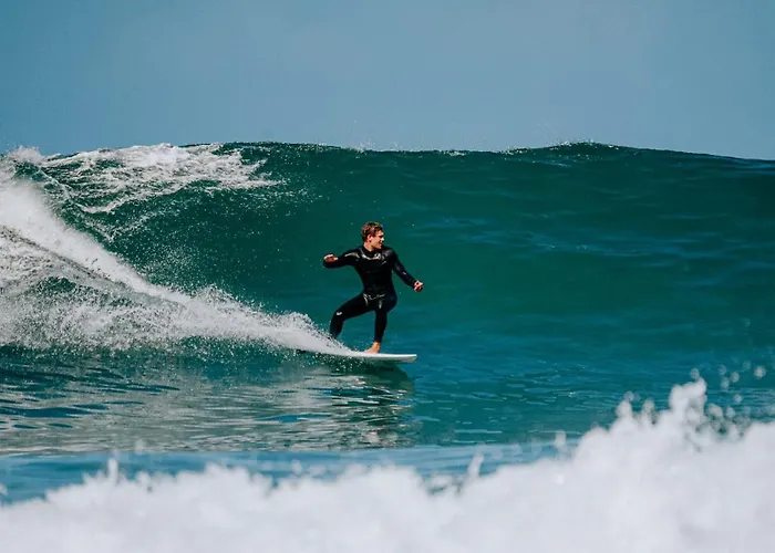 Hostal Endless Summer Vibes *