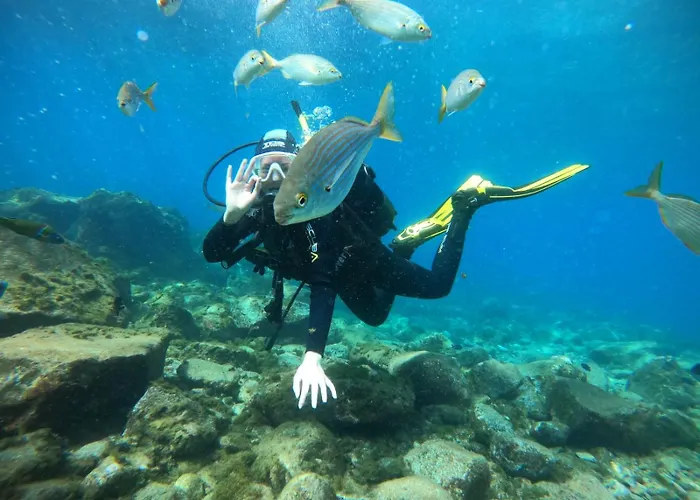 Endless Summer Vibes Hostal