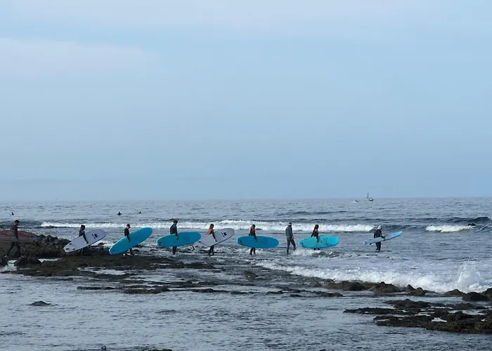 Hostal Endless Summer Vibes